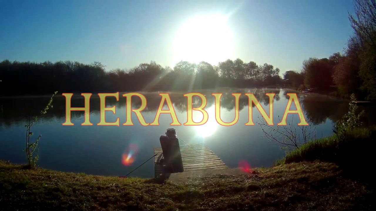 ヘラブナ Herabuna. Doao 3,6м. Тест удилища на водоеме.