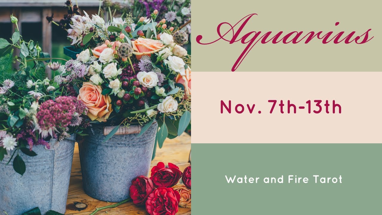 Aquarius:  Nov. 7th-13th  
