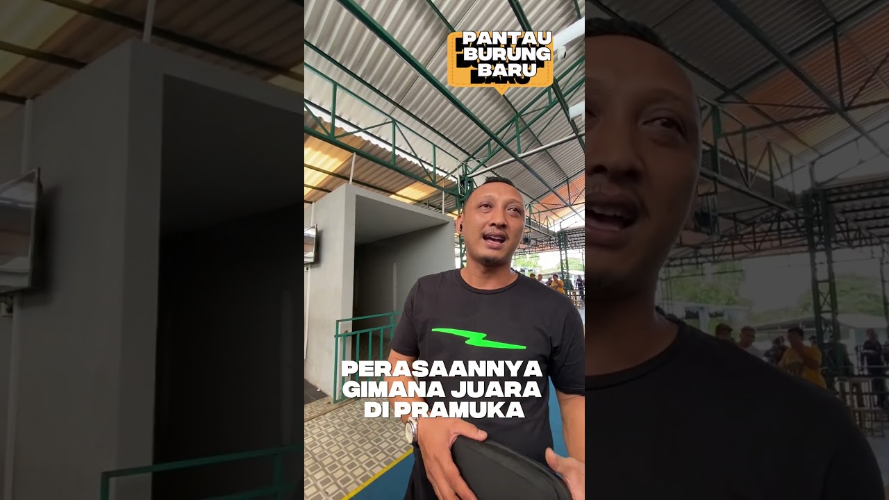 #andribolang mantau MURAI BARU untuk #anniversarysmm 👍 di Gantangan Prasasti #muraibatugacor