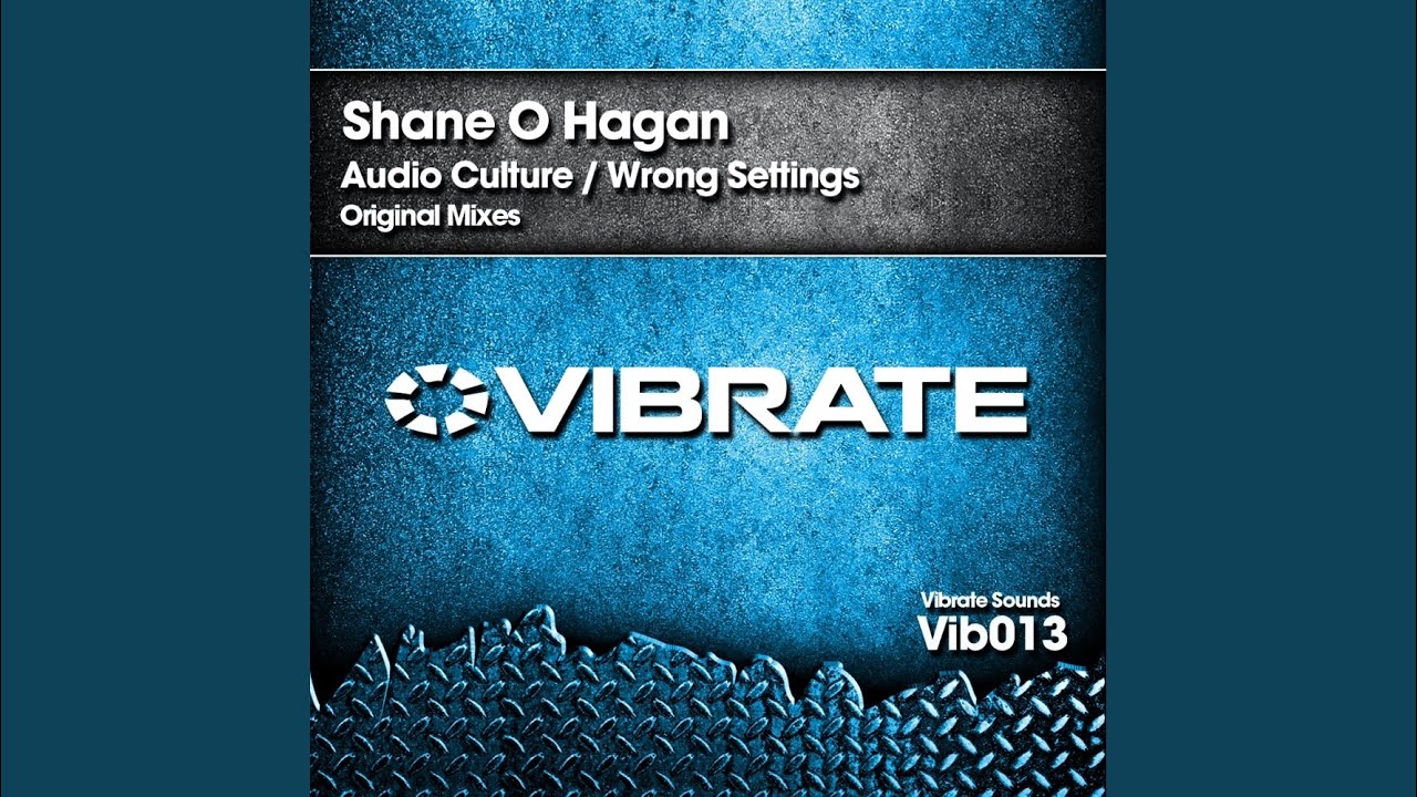 Audio Culture (Original Mix)