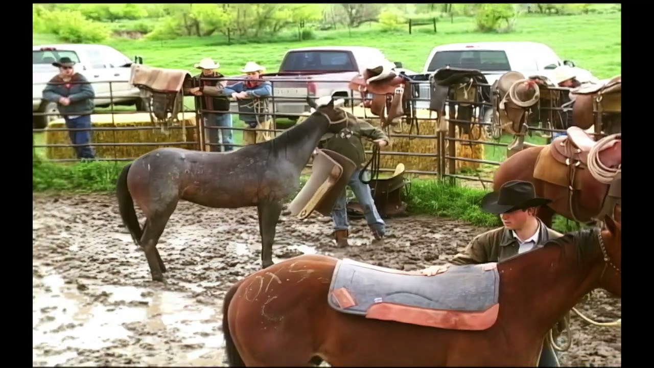 Horseman and Hall of Fame Cowboy Bill Smith