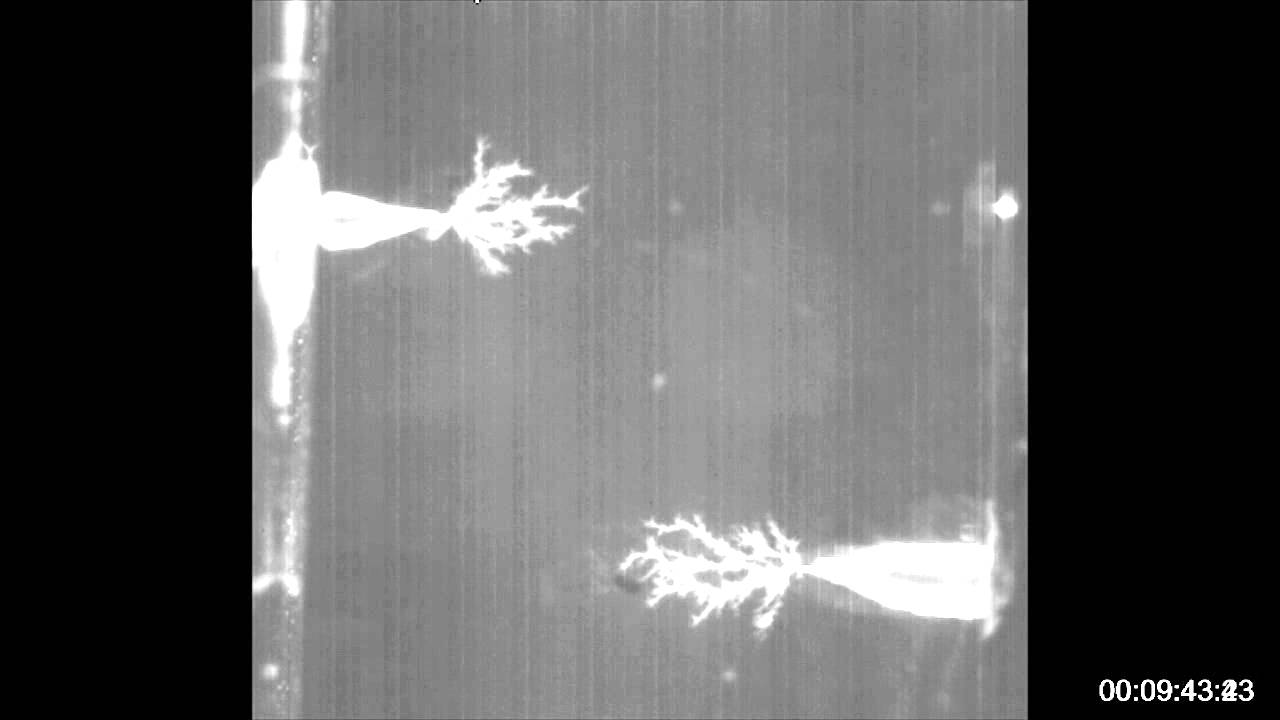 Electrical Treeing and Breakdown in Acrylic Glass - Dual Tree Growth