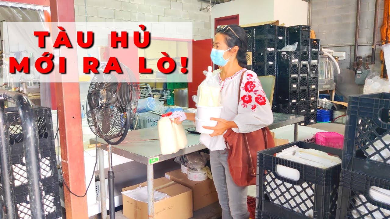 Fresh tofu at the manufacturer | Mua tàu hủ tươi, rẻ, sữa đậu nành tại lò sản xuất Montreal⚜🇨🇦