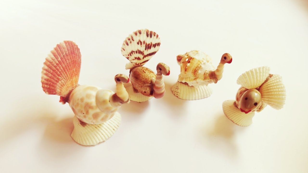 3 Sea Shell Craft Ideas