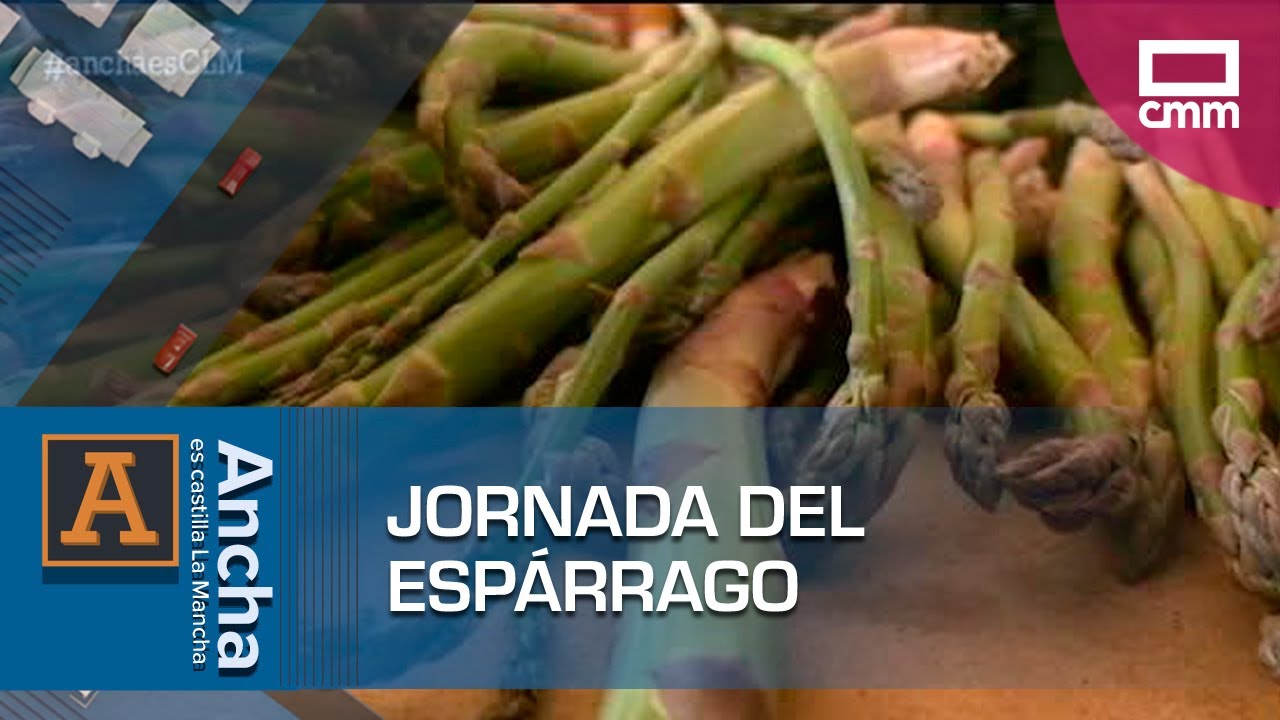 Jornada del esp&aacute;rrago en Aranzueque | Ancha es Castilla-La Mancha