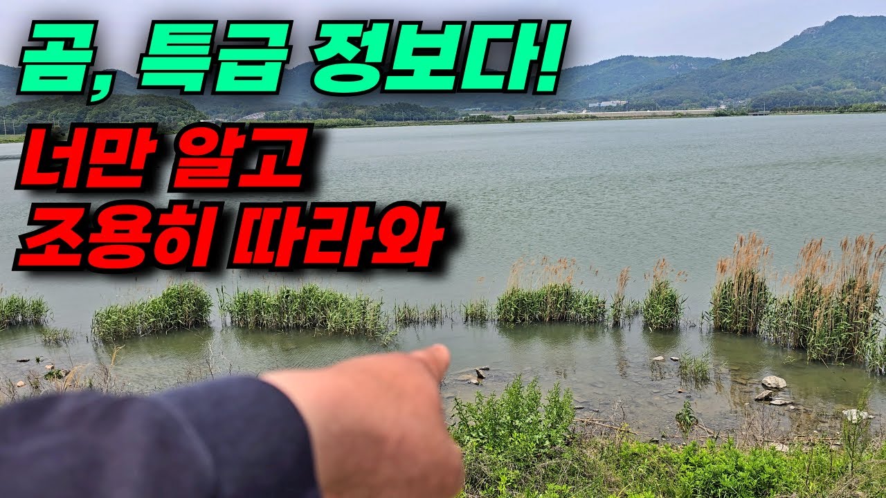 대물이 쏟아지기 시작한 간척호 / 1박에 덩어리 50수라고? / 강진 만덕호 붕어낚시