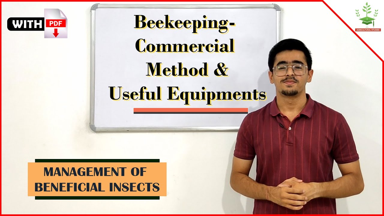 Beekeeping - Commercial Method & Useful Equipments ( APICULTURE PART 2 )