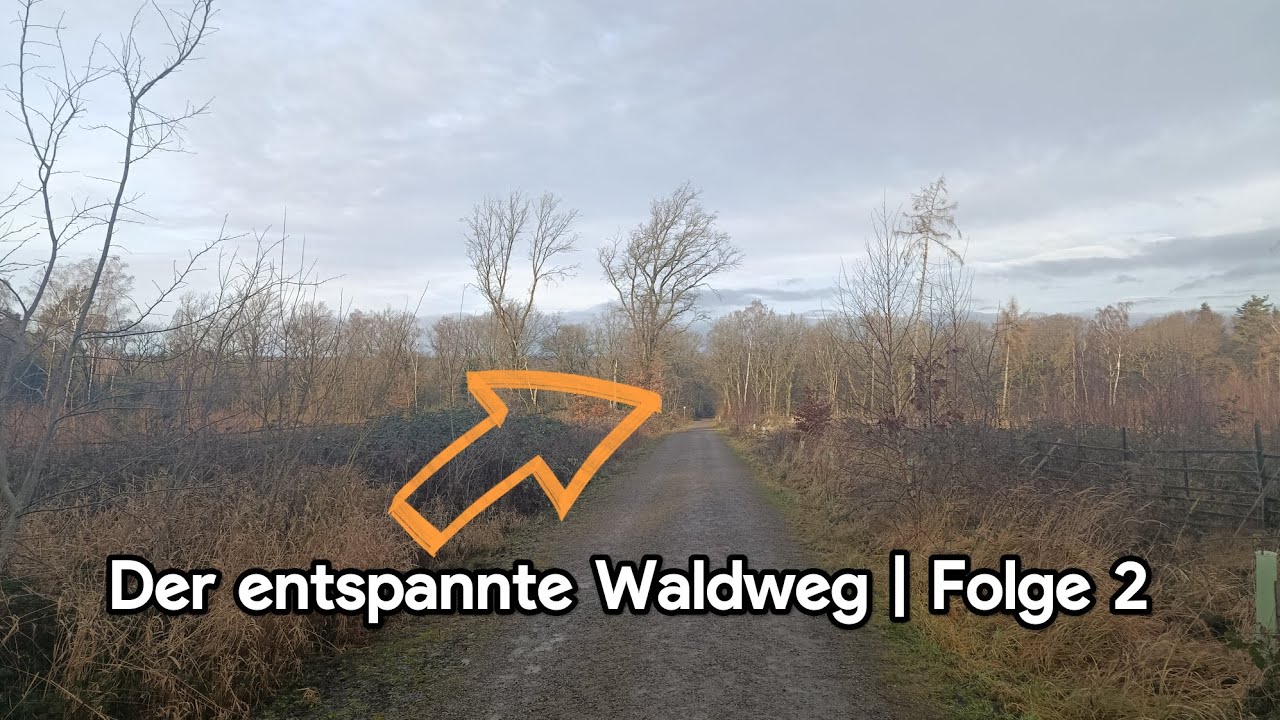 Der entspannte Waldweg | Aachen Unterwegs Folge 2