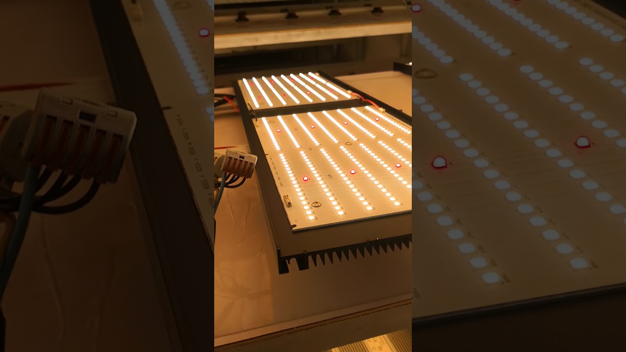 600watt 4in1 led grow light with samsung LM301B plus cree xpe2 660nm