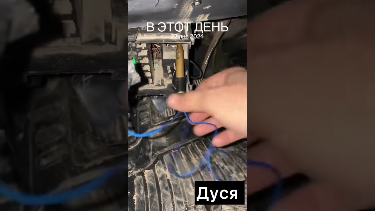 #дусяшым 