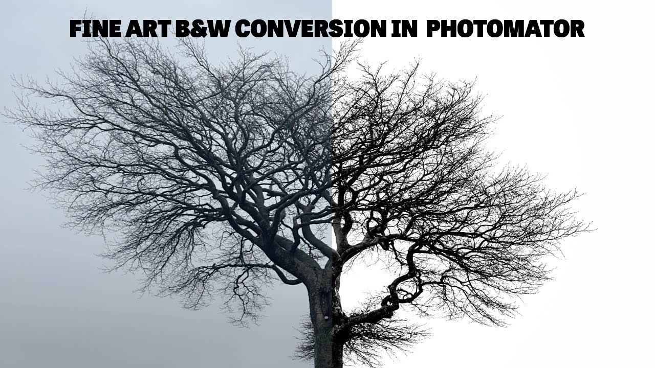 From Drab to Dramatic: Turning a Boring Photo Into Punchy Black & White Art in Photomator for Mac