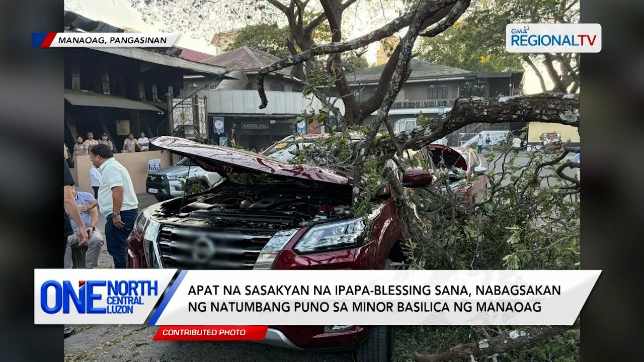 4 sasakyan na nakatakda sanang pabasbasan, nabagsakan ng natumbang puno | One North Central Luzon