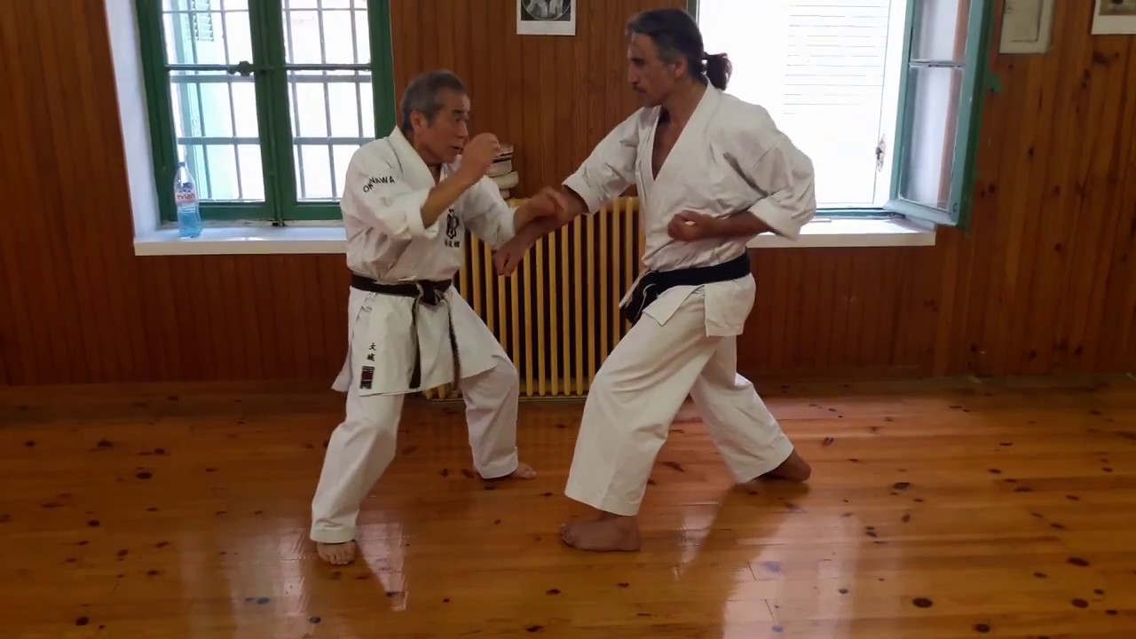 Stage de karaté Goju-Ryu avec Maître Zeneï OSHIRO week-end de l'Ascension Marseille mai 2017