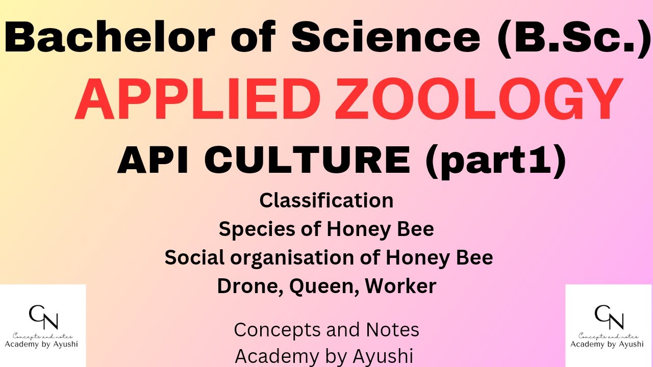 Apiculture || Part-1 || Applied Zoology || For B.Sc. Students || Concepts & Notes  Academy by Ayushi