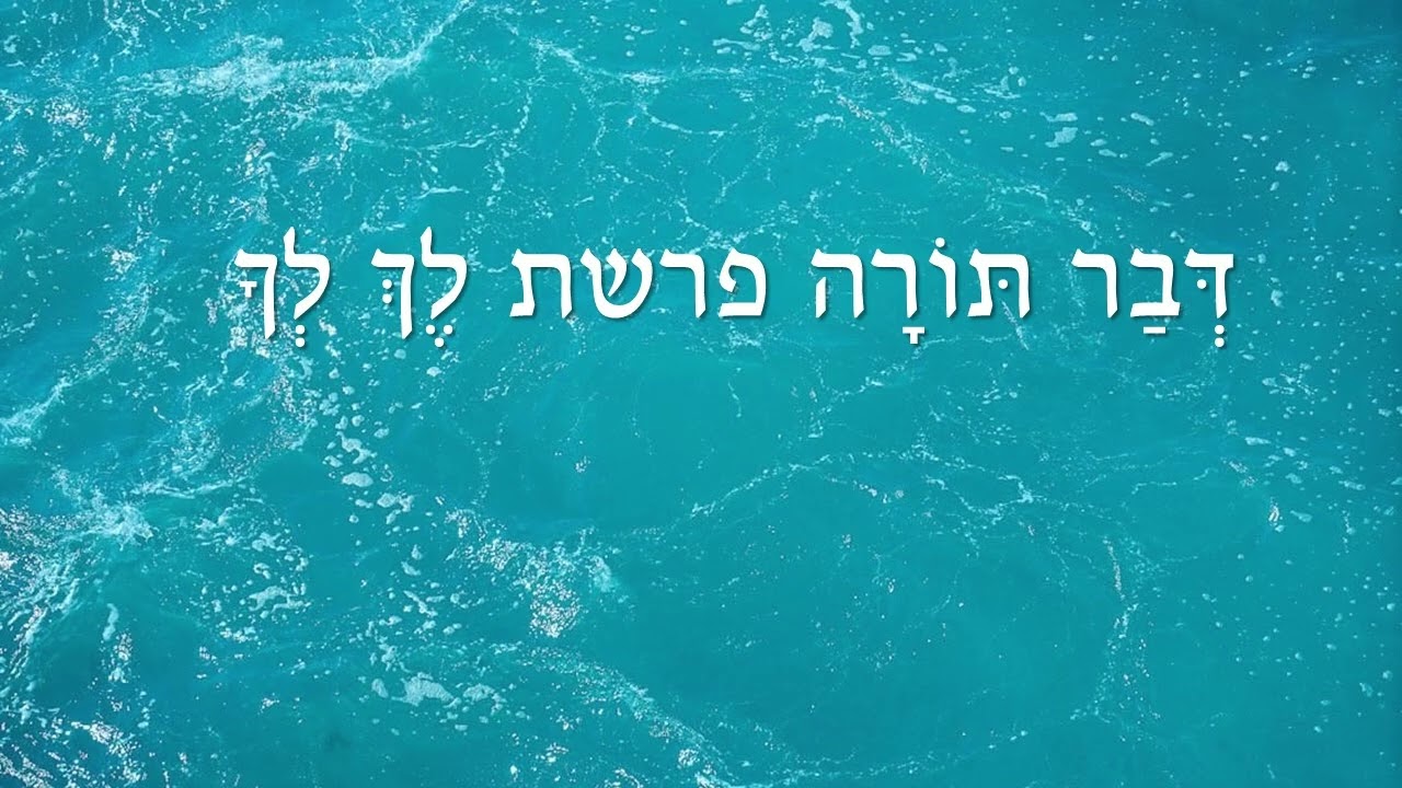 דבר תורה פרשת לך לך
