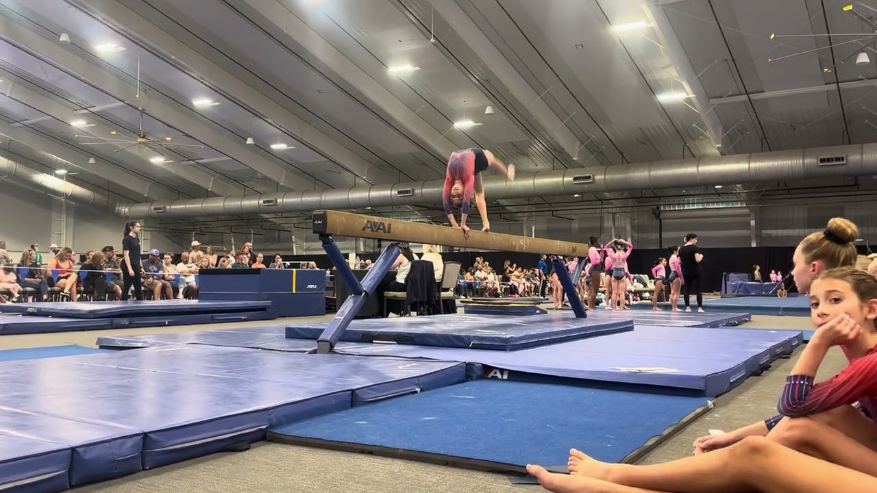 Riley Silver Beam 9.55 Charity 2026