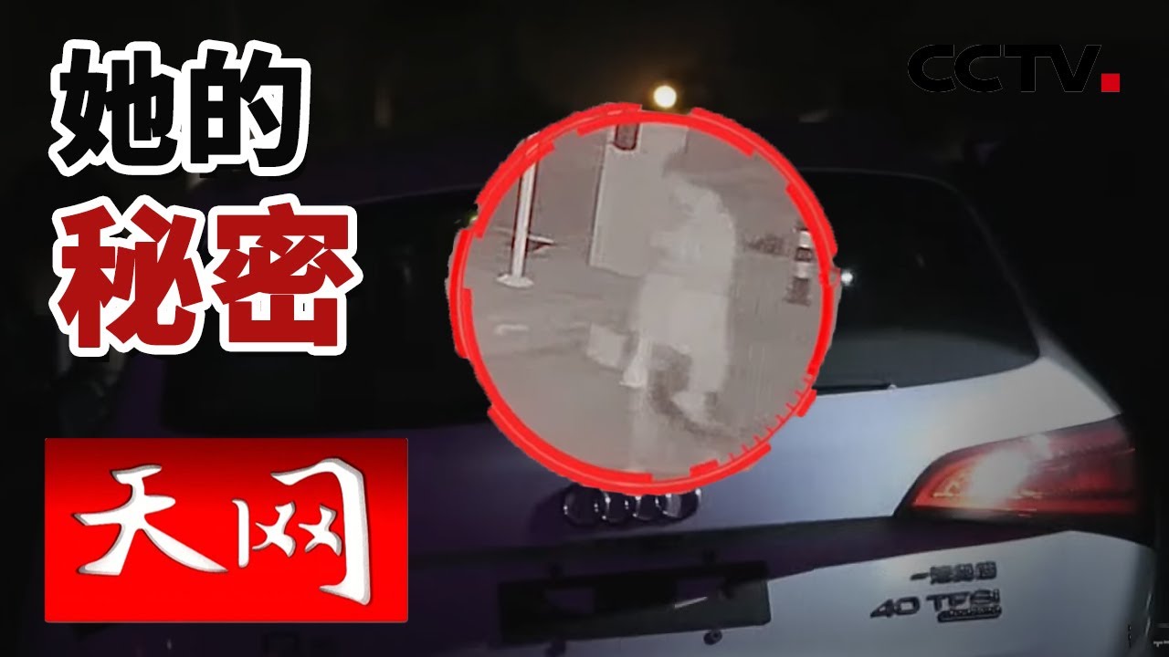 《天网》电动车引发的&ldquo;大案&rdquo; | CCTV社会与法