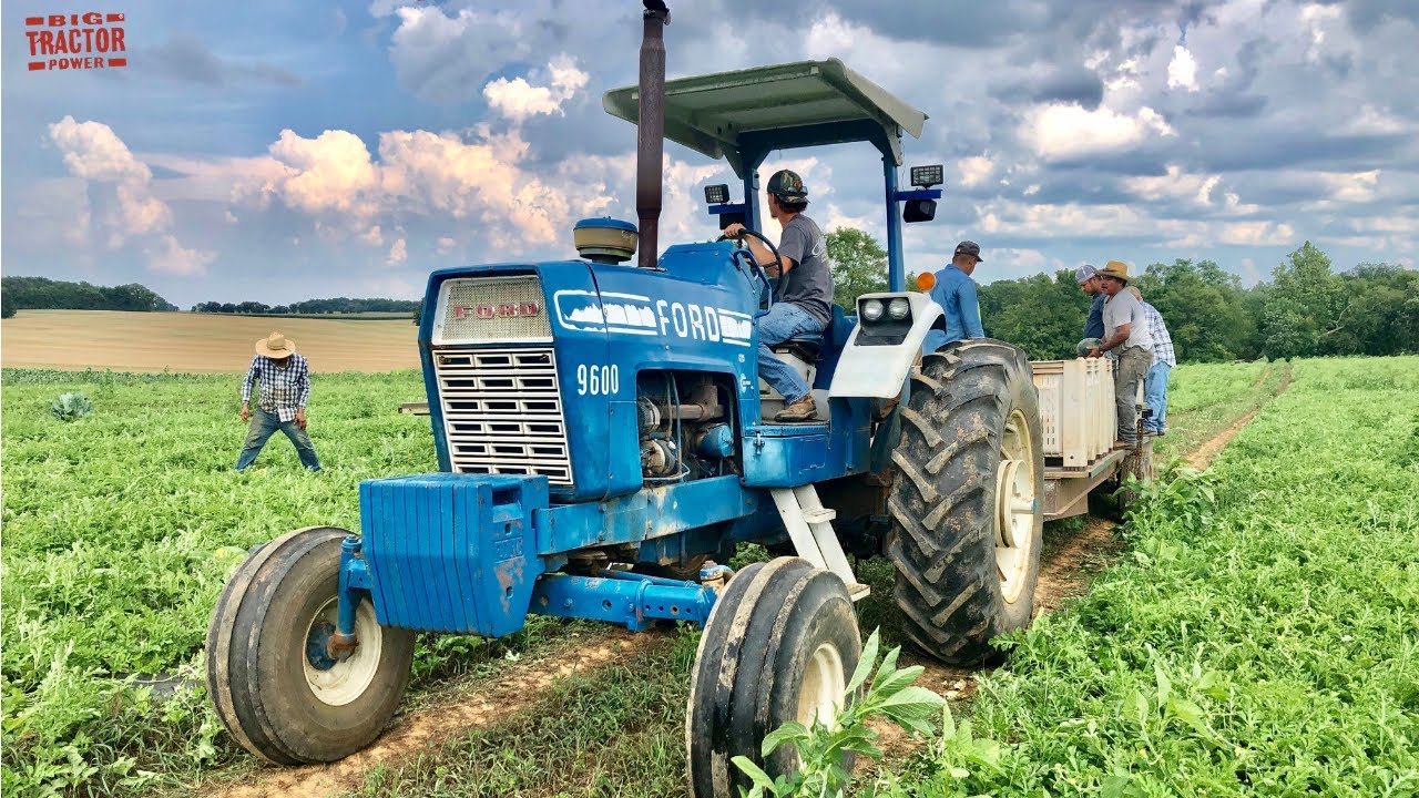FORD 9600 Tractor Harvesting Watermelons