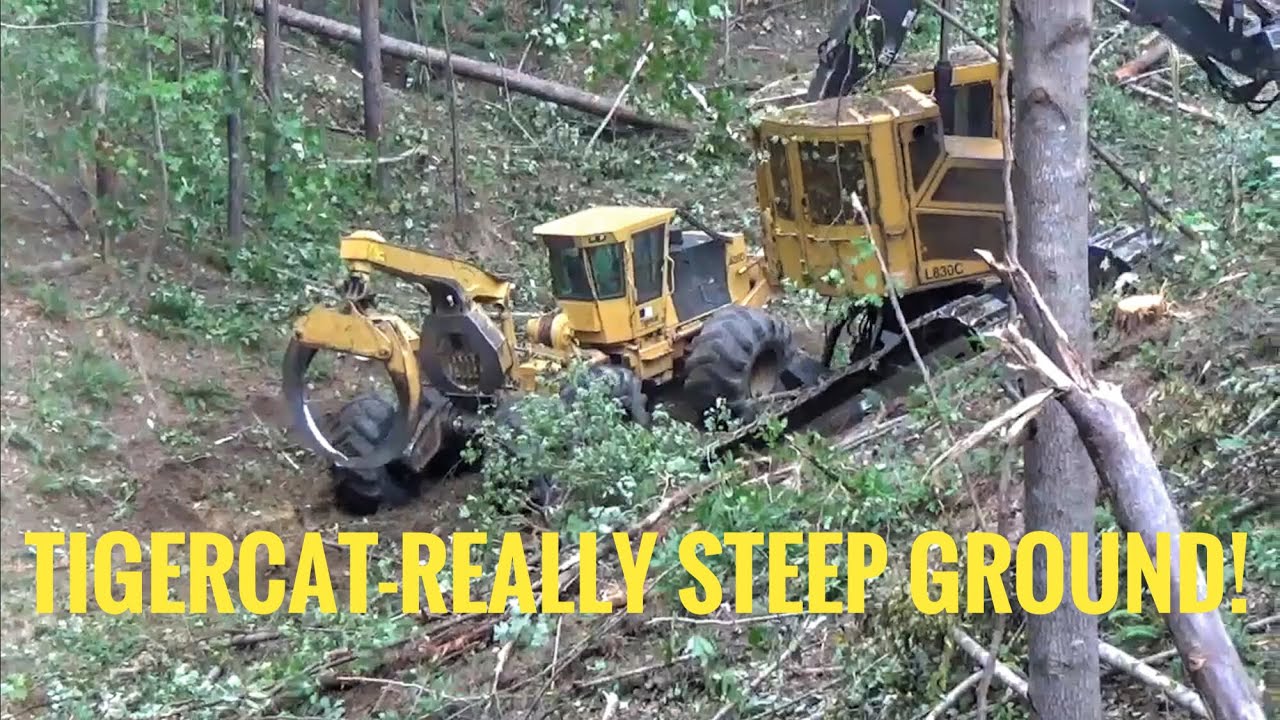Extreme logging- Derrick cutting trees on a 60% slope, STEEP!