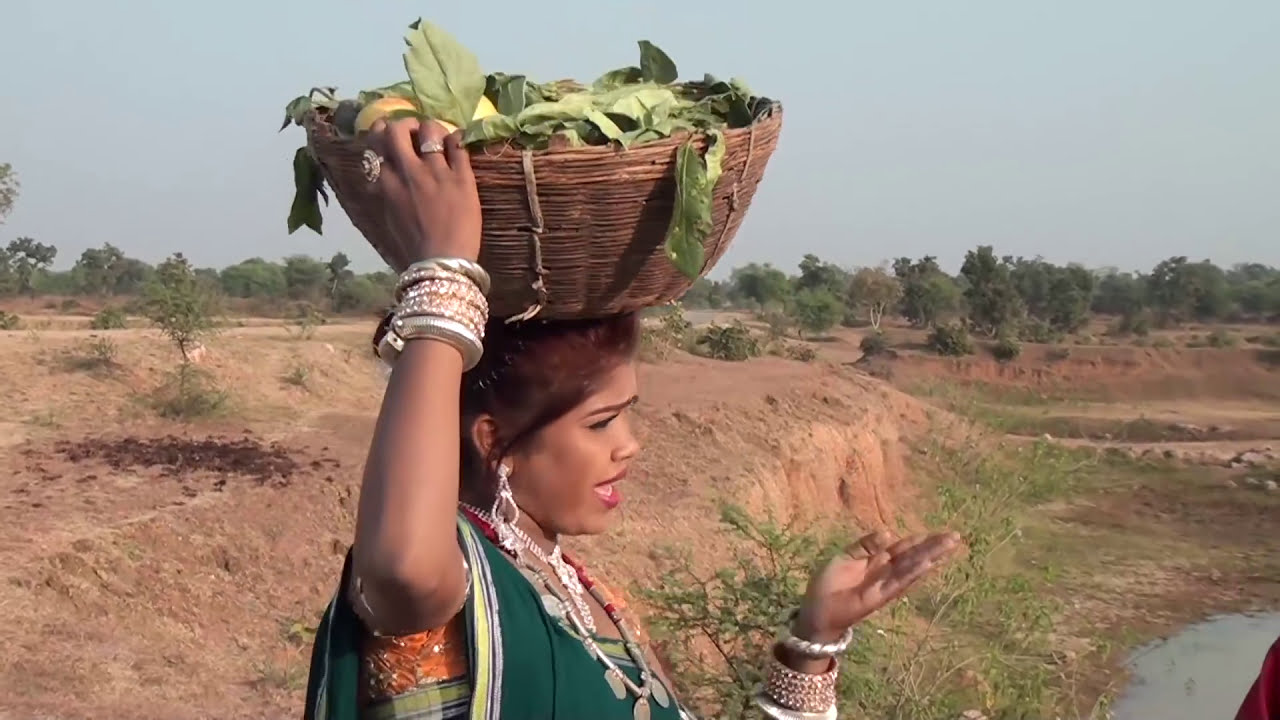 Arapa KeTeer M O Rani -Ramayan Baiga | chhattisgarhi gana | chhattisgarhi video | cg song