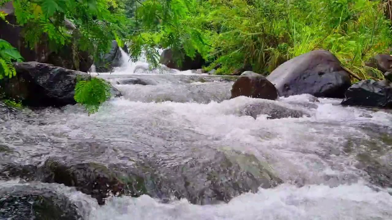 Peaceful River Ambience for Work &bull; 1 Hour Flowing Stream Sounds to Relax & Focus 4K