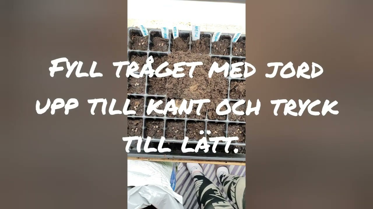 Kallså dina luktärtor!