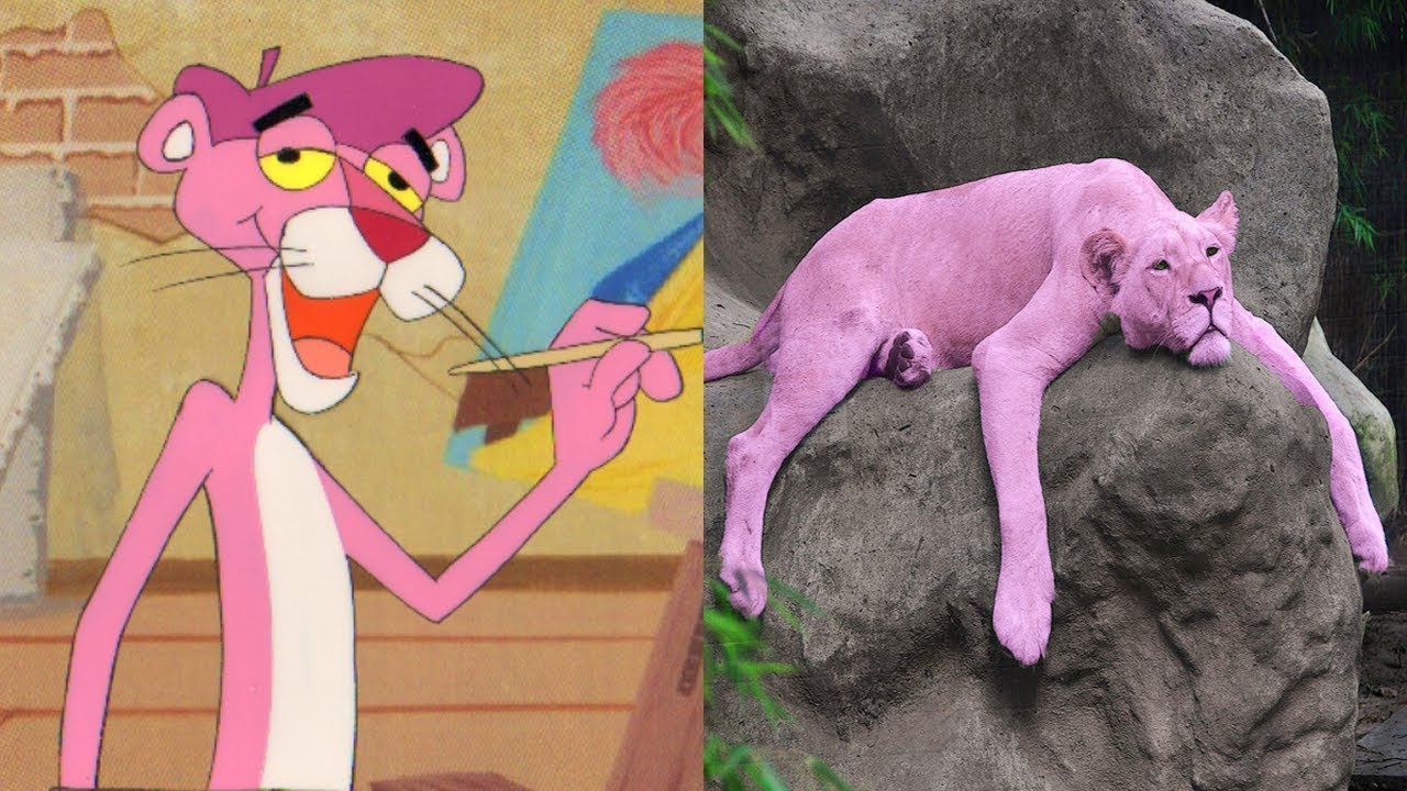 Pink Panther And Pals Characters In Real Life | All Characters 2017