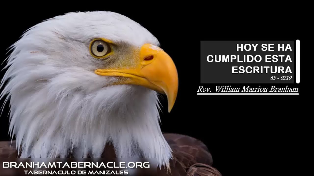 65-0219 Hoy Se Ha Cumplido Esta escritura | William Marrion Branham
