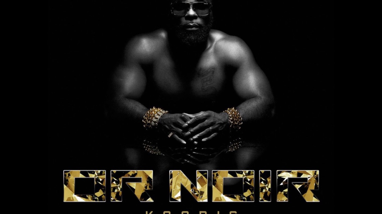 kaaris bizon intrumentale