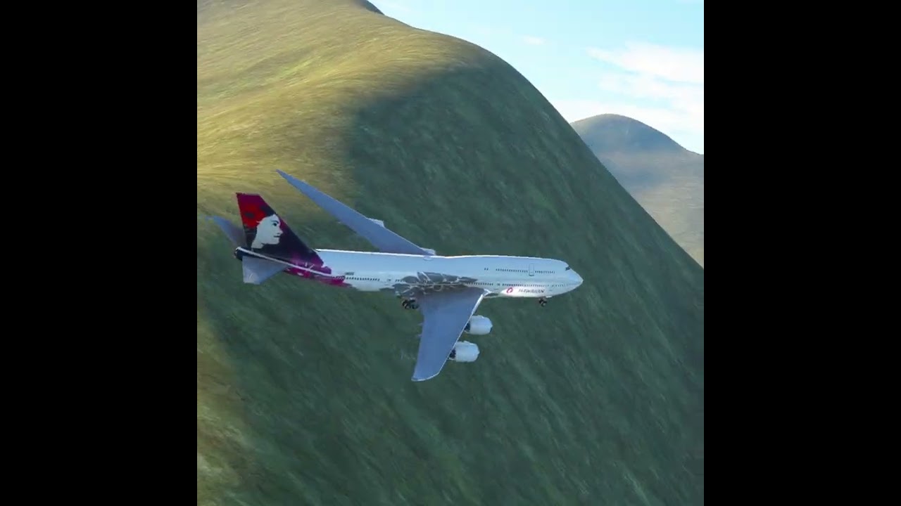 the pilot's actions endangered the plane's passengers EP261