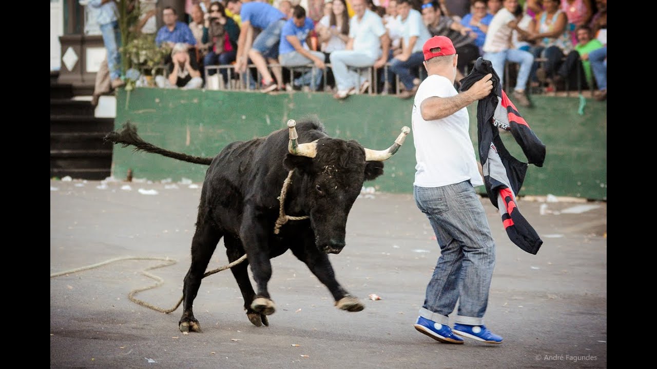 Tourada &agrave; Corda CAJAF no Porto Martins a 23 de Setembro de 2015
