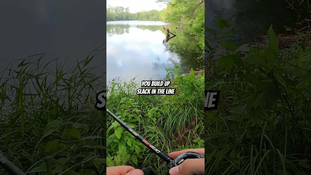 How to Walk a Frog #shorts #bassfishing