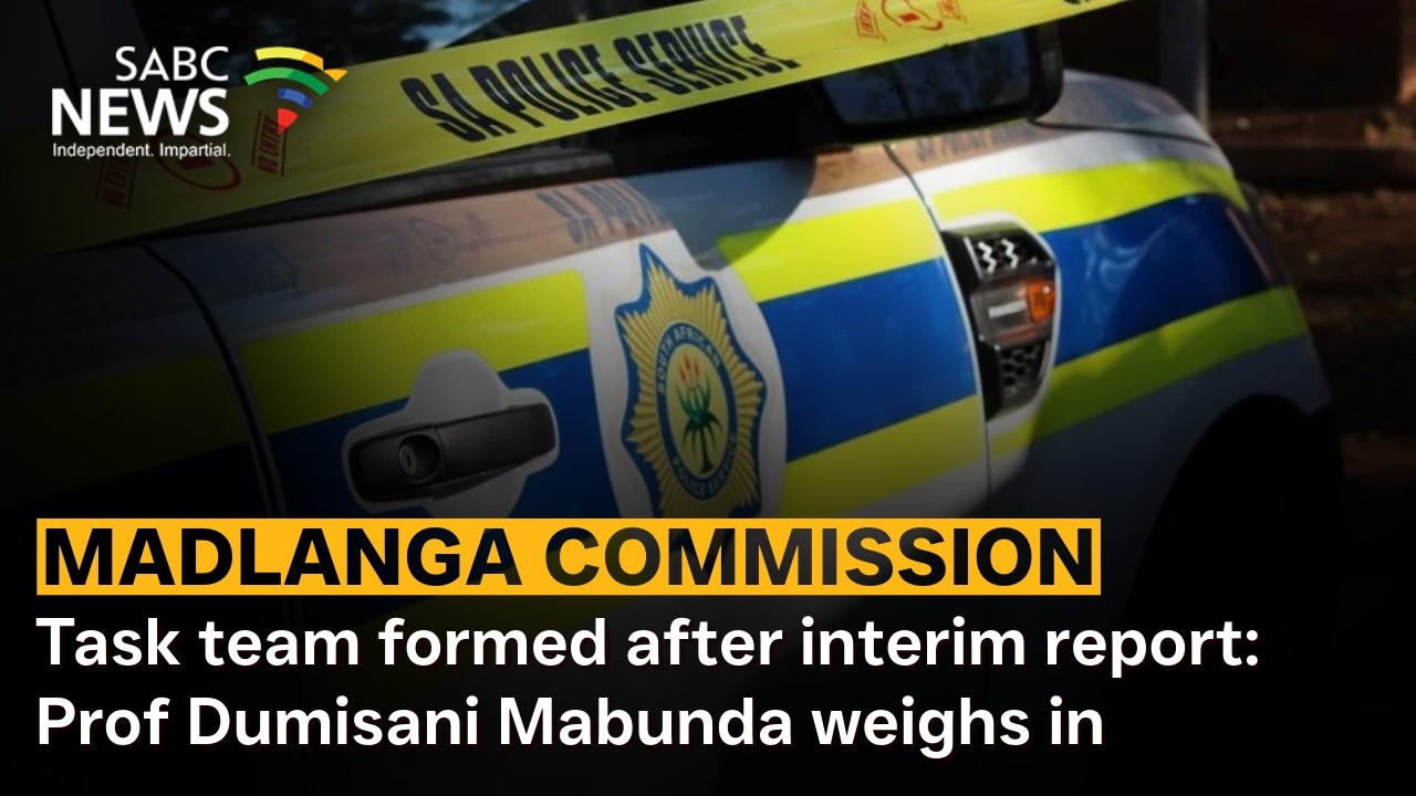 Madlanga Commission | Task team formed after interim report: Prof Dumisani Mabunda weighs in