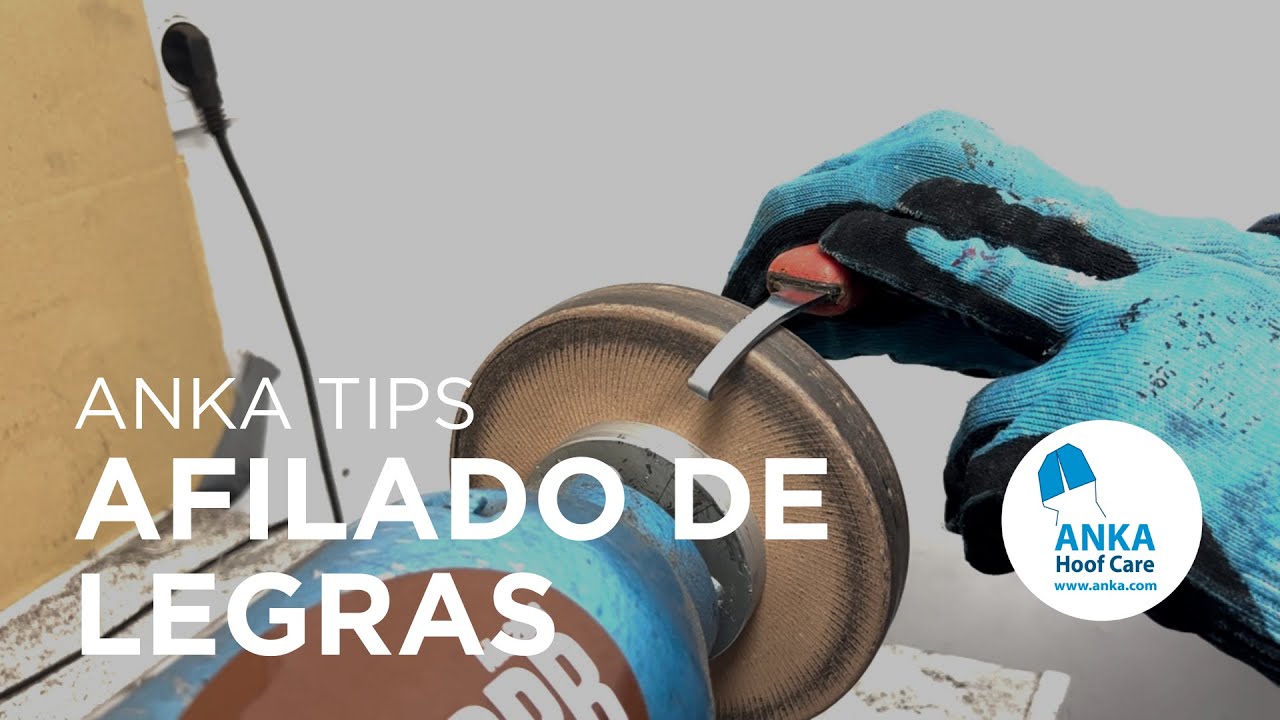 ANKA Tips | Afilado de legras