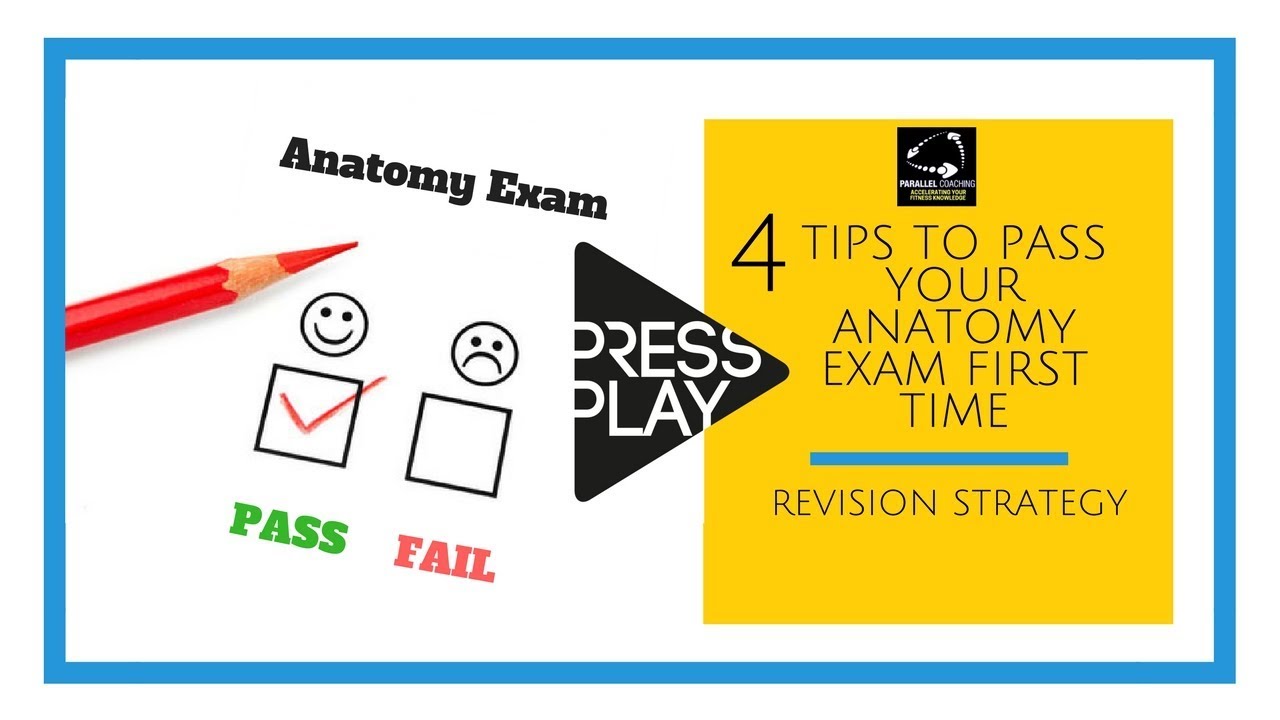 4 tips to pass your anatomy and physiology exam first time