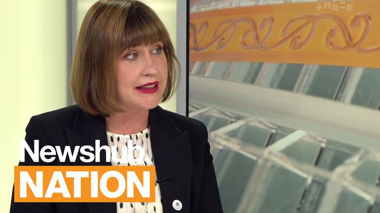 'People start to get irritated': Andrea Vance on Wellington Mayor's performance | Newshub Nation
