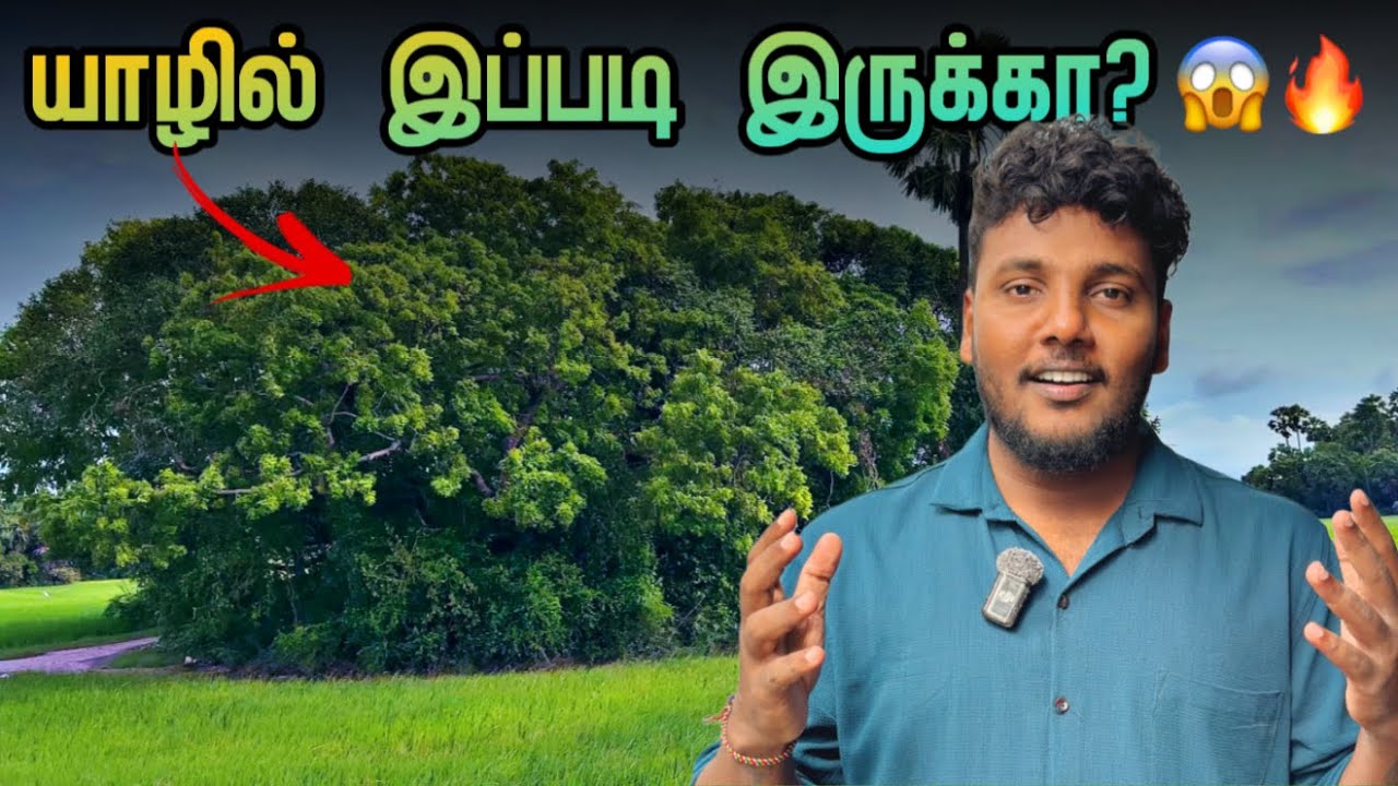 யாழில் இப்படி ஒரு இடம் இருக்கா? 😱🔥 | Navaly, Jaffna | Pavaneesan