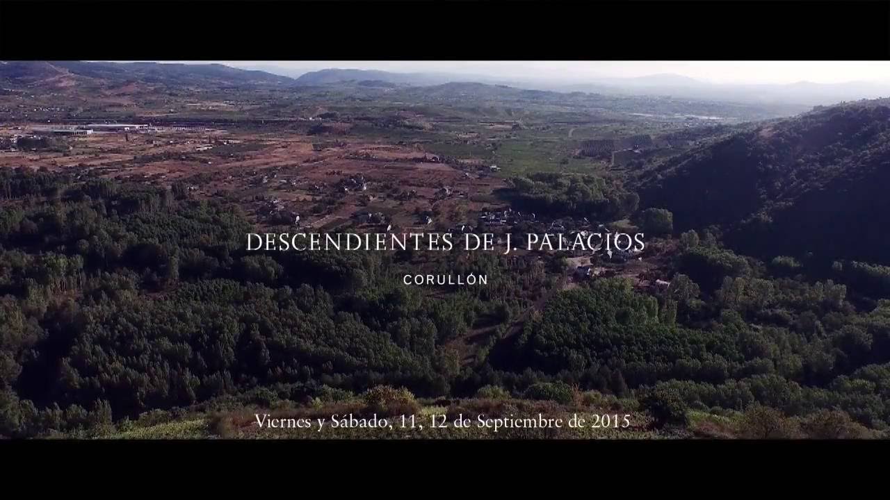 Vendimia 2015. Viñedo del paraje Las Lamas. Corullón, Bierzo