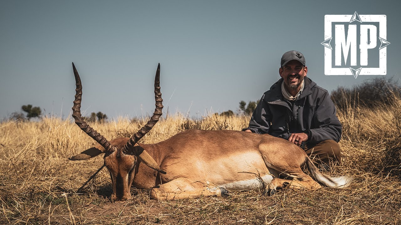 Namibia: Black-Faced Impala | Mark V. Peterson Hunting