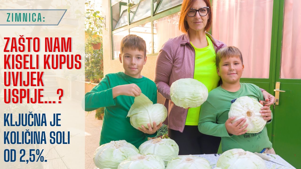 Kako se kiseli kupus BEZ PRETAKANJA — tajni omjer soli (2,5%)