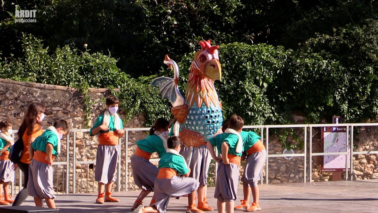 Primera Festa Major del Basilisc Petit (Sant Joan 2021)