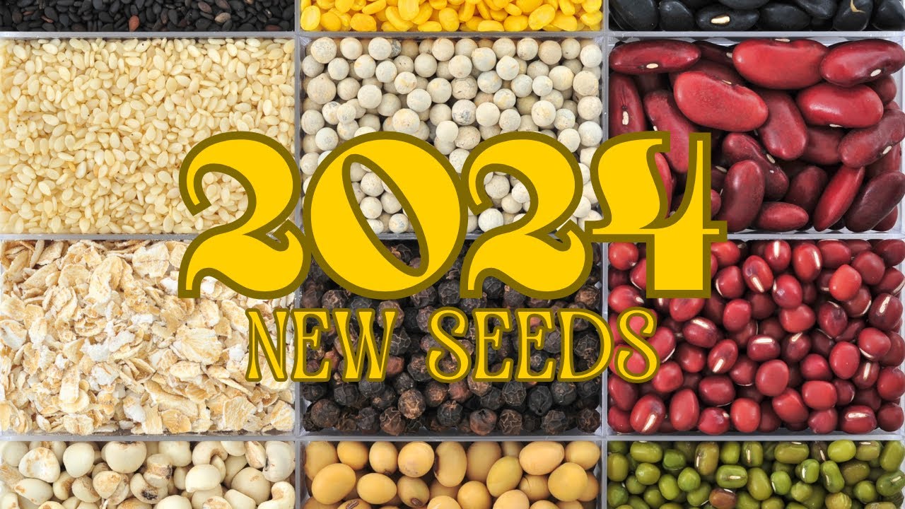 newly ordered vegetable seeds for 2024's garden | the most exciting mail for winter