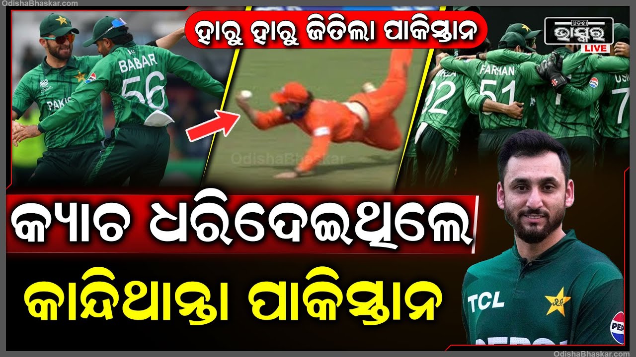କ୍ୟାଚ ଛାଡିଦେଲା ନେଦରଲ୍ୟାଣ୍ଡ ଆଉ ହାତରୁ ଖସିଗଲା ମ୍ୟାଚ,ନହେଲେ କାନ୍ଦିଥାନ୍ତା ପାକିସ୍ତାନ Pakistan vs Netherland