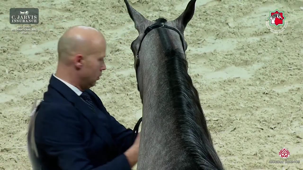 Abu Dhabi International AHC 2026   Class 3B
