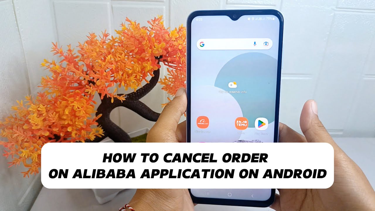 How To Cancel Order On Alibaba App