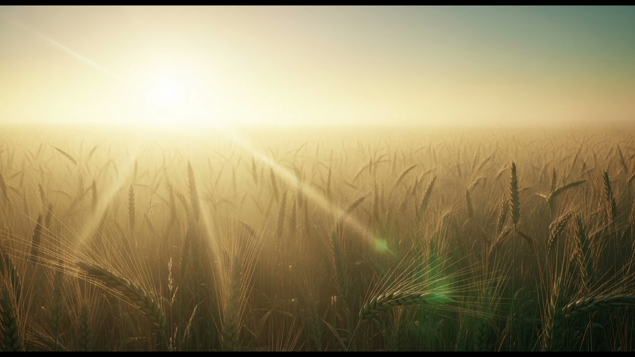Calming Music Golden Yesterday, Awake the Light