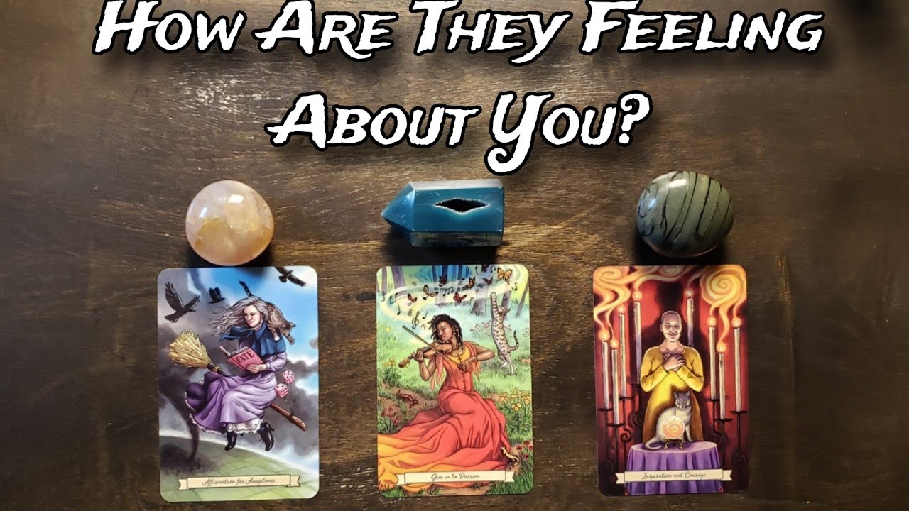 🙀♥️ How Are They Feeling About You? 🔥❤🚨 Pick A Card Love Reading