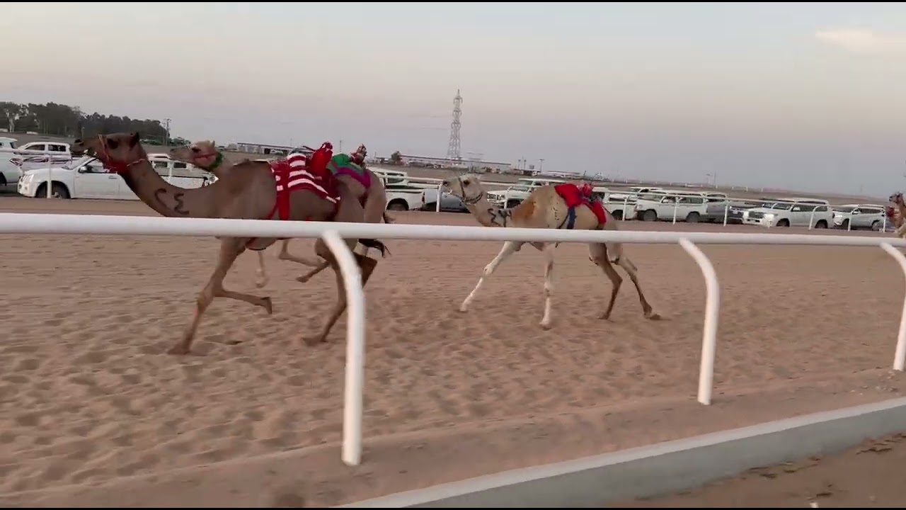 الشوط الأول بكار ثنايا غناتي خالد ابراهيم الحويطي 10:33