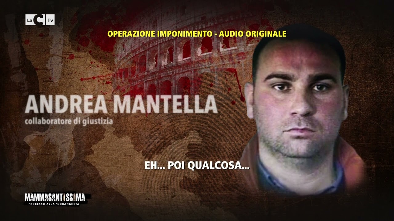 Gli affari dei Bonavota all'estero - Mamamsantissima