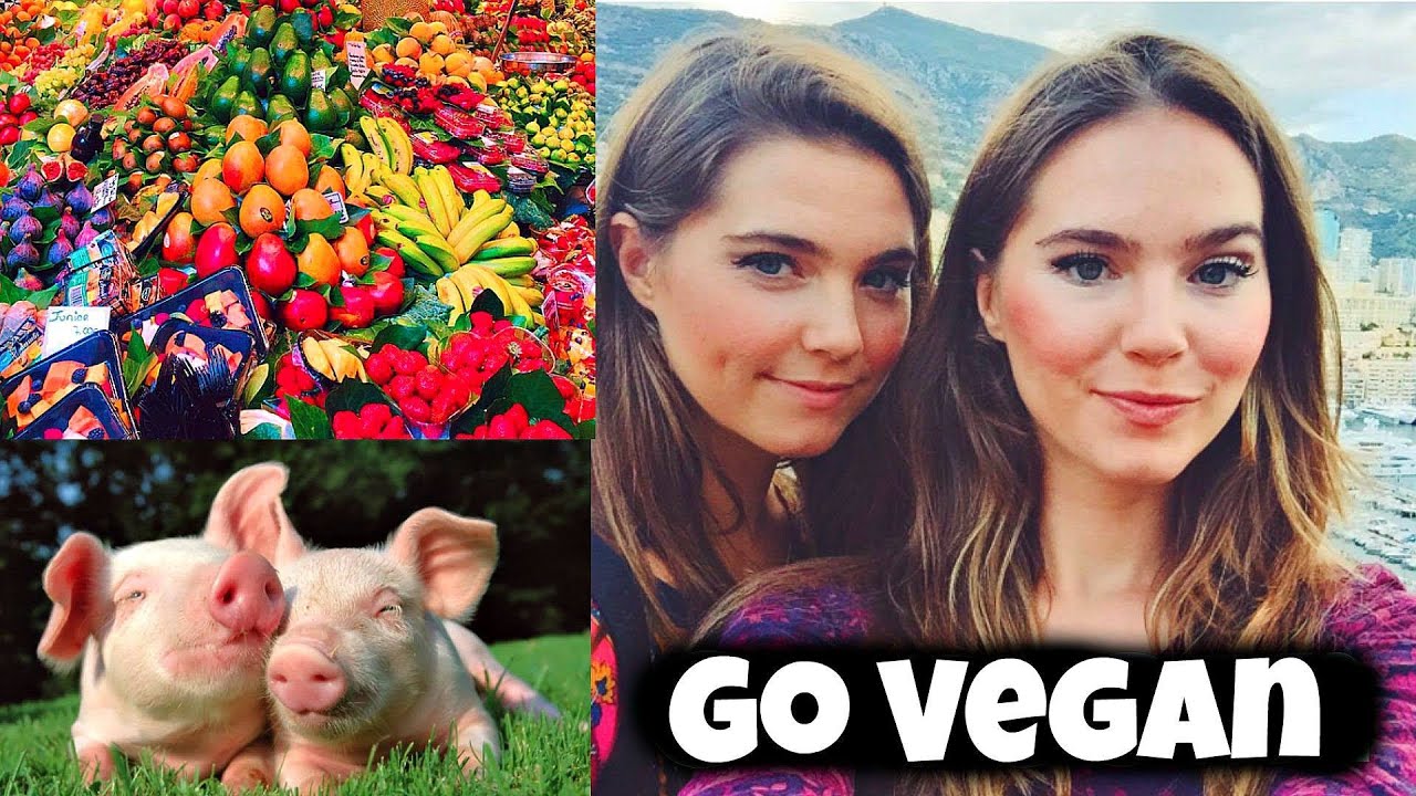 5 Reasons to GO VEGAN